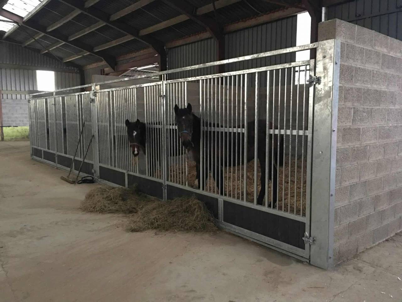 Haras en activité avec Maison d'exception