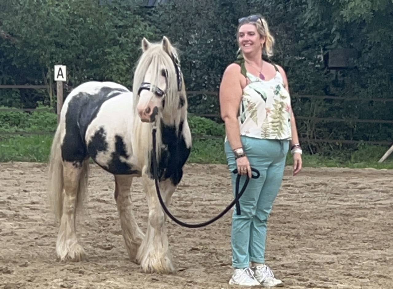 Tinker noir et blanc hongre