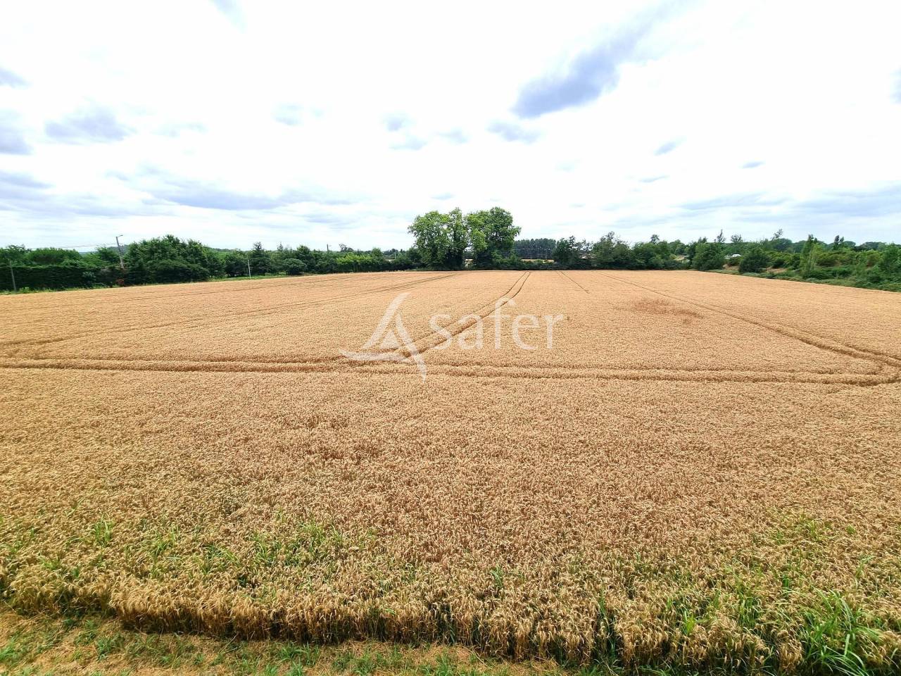 Ancienne maison bourgeoise avec appartement indépendant sur 3.8