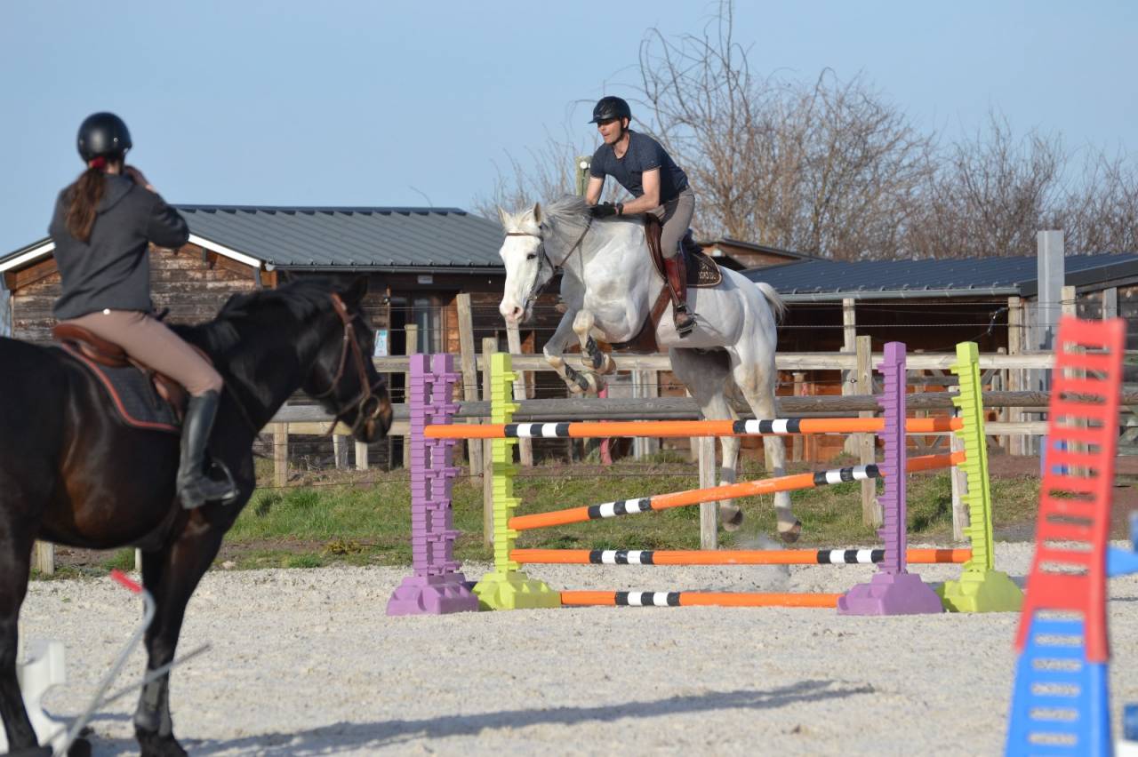 CHEVAL DE CSO 13 ANS