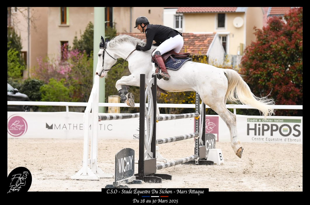 CHEVAL DE CSO 13 ANS