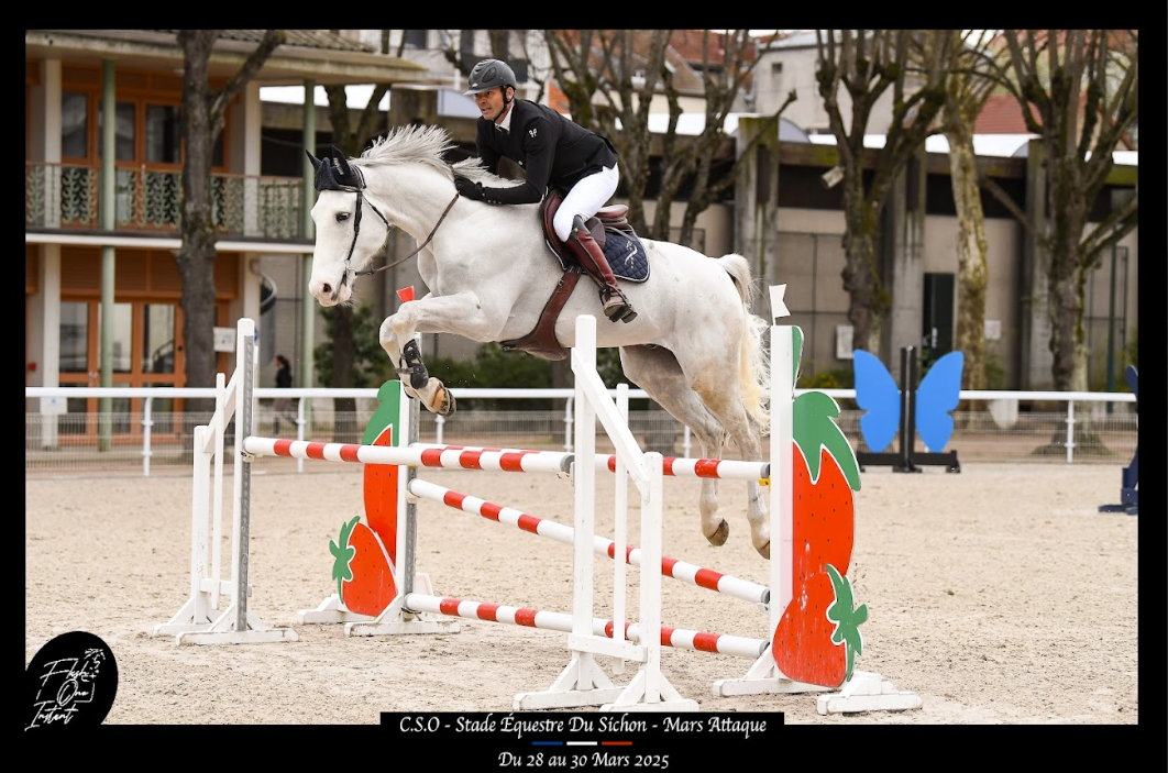 CHEVAL DE CSO 13 ANS