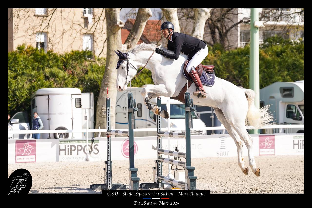 CHEVAL DE CSO 13 ANS