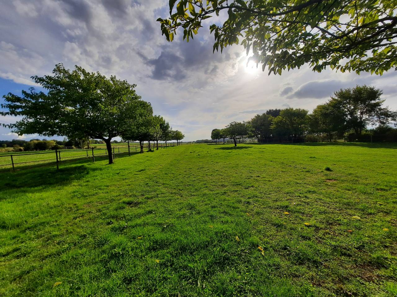 Propriété équestre de charme sur 1,3 ha 20 mn de ROYAN