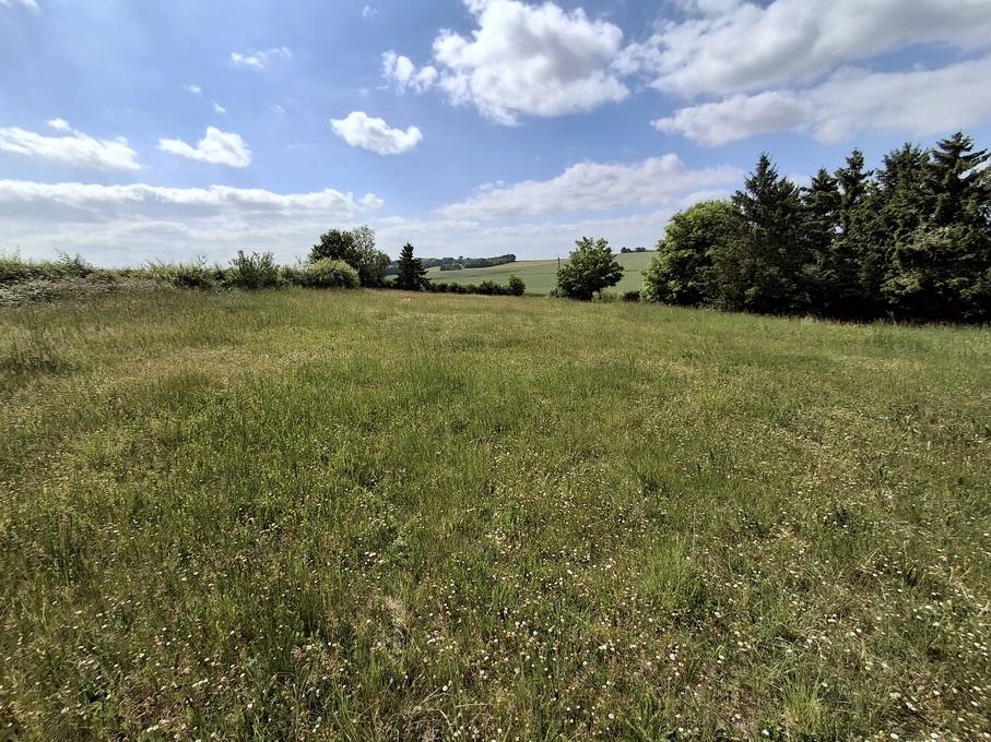 Pté A VOCATION EQUESTRE  DANS L'YONNE  SUR 8605 M² 