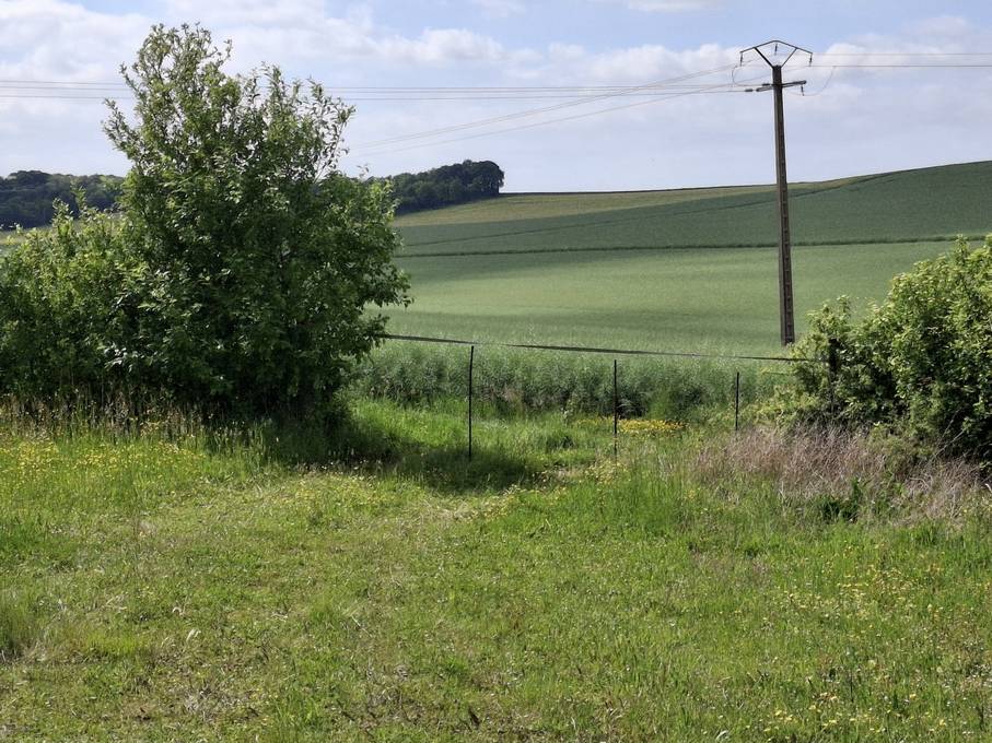 Pté A VOCATION EQUESTRE  DANS L'YONNE  SUR 8605 M² 