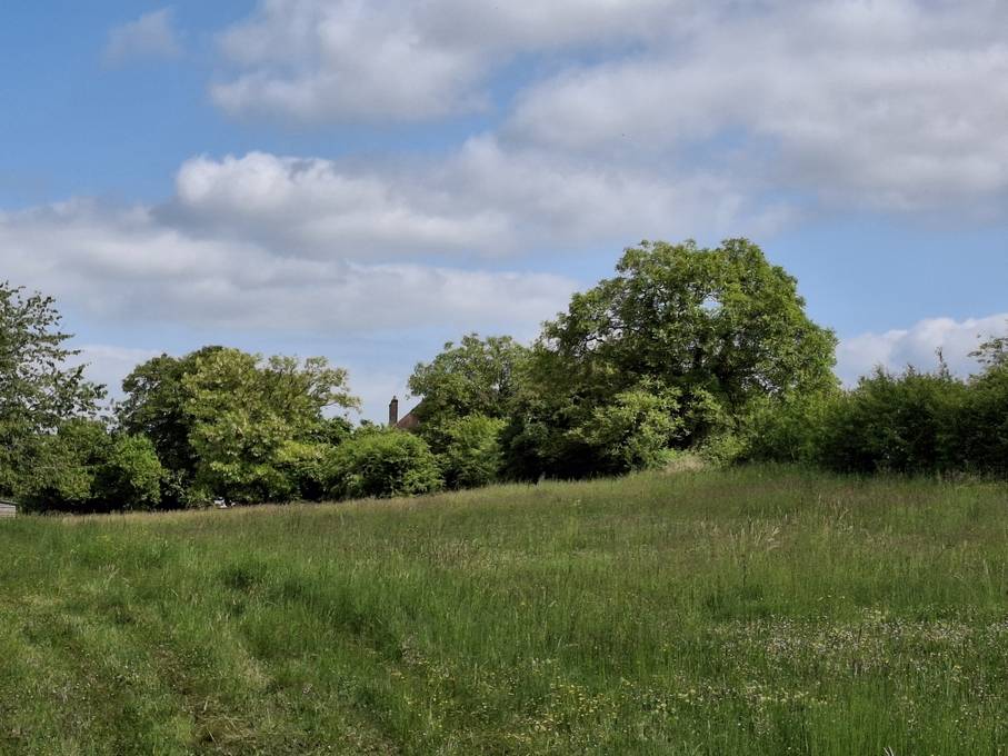 Pté A VOCATION EQUESTRE  DANS L'YONNE  SUR 8605 M² 