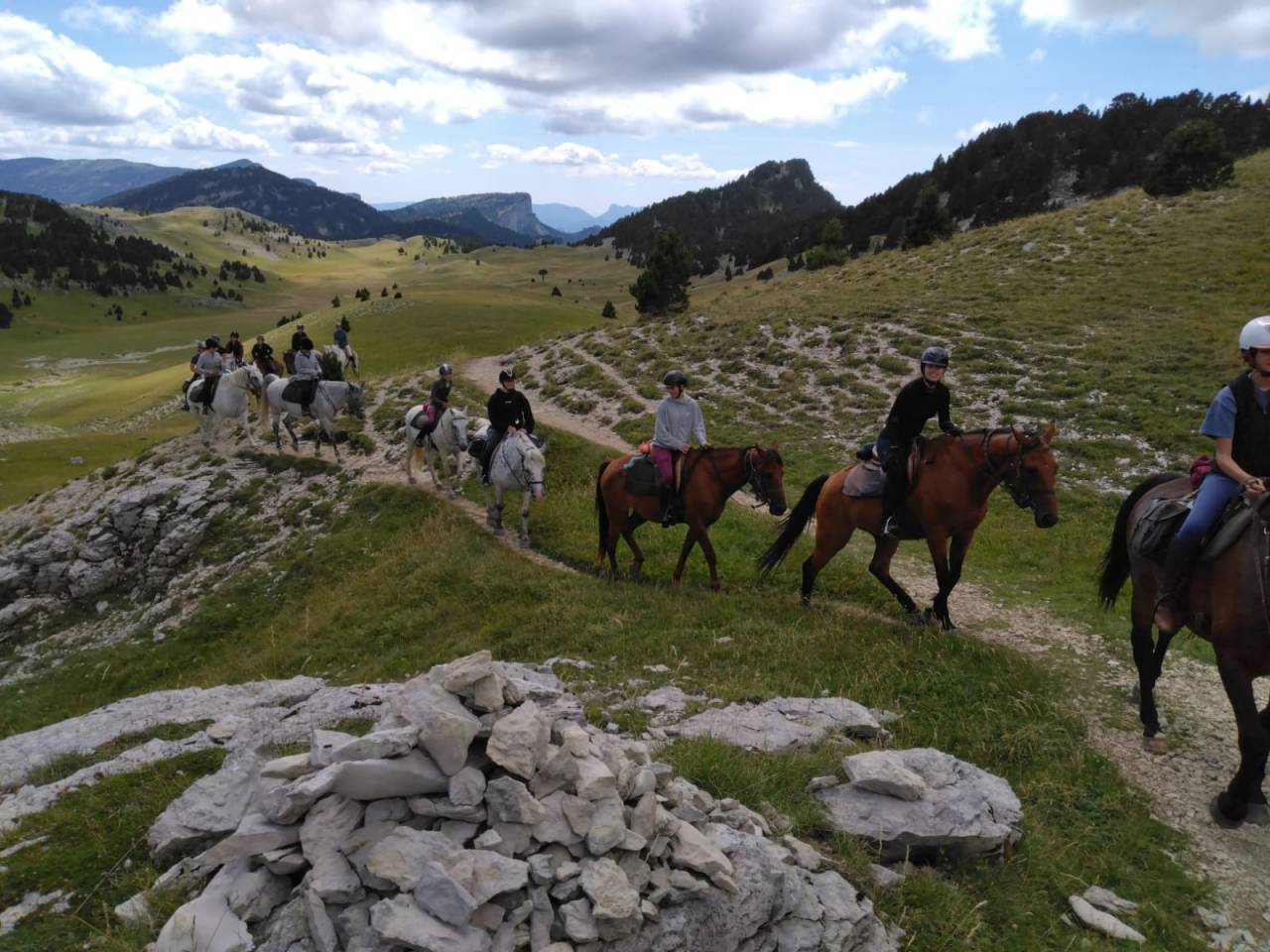 Accompagnateur de Tourisme Equestre et autres services