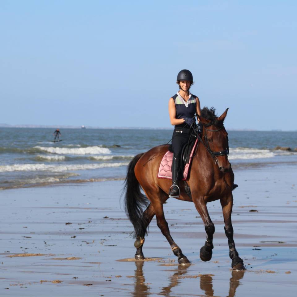 Kadaar cheval de 15 ans a vendre 