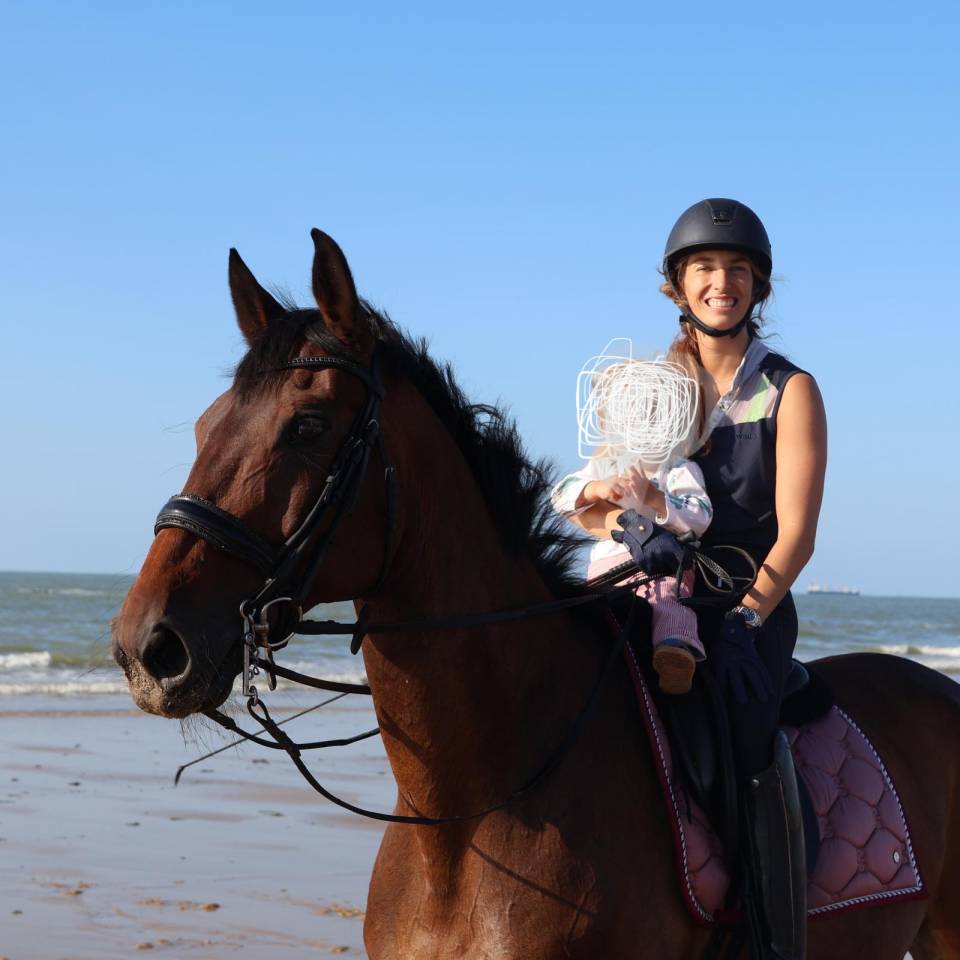 Kadaar cheval de 15 ans a vendre 