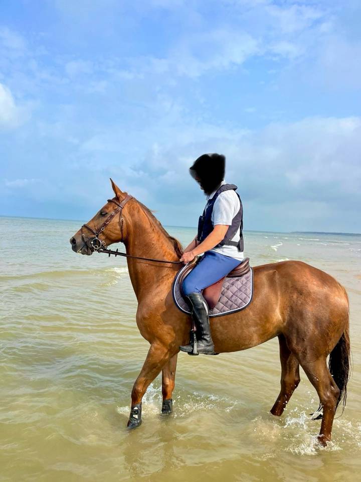 Magnifique jument CSO 12 ans, Kannan et par opium de Ta