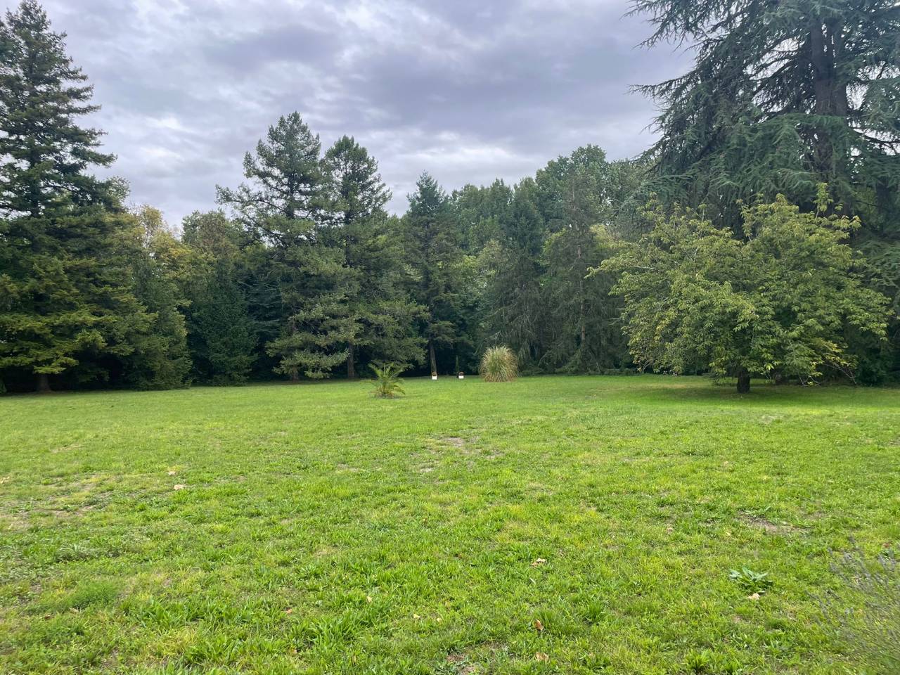 Demeure de caractère avec installations équestres 3 ha