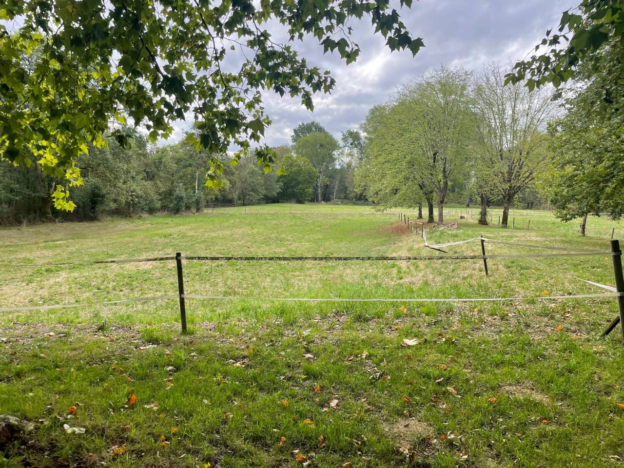 Demeure de caractère avec installations équestres 3 ha