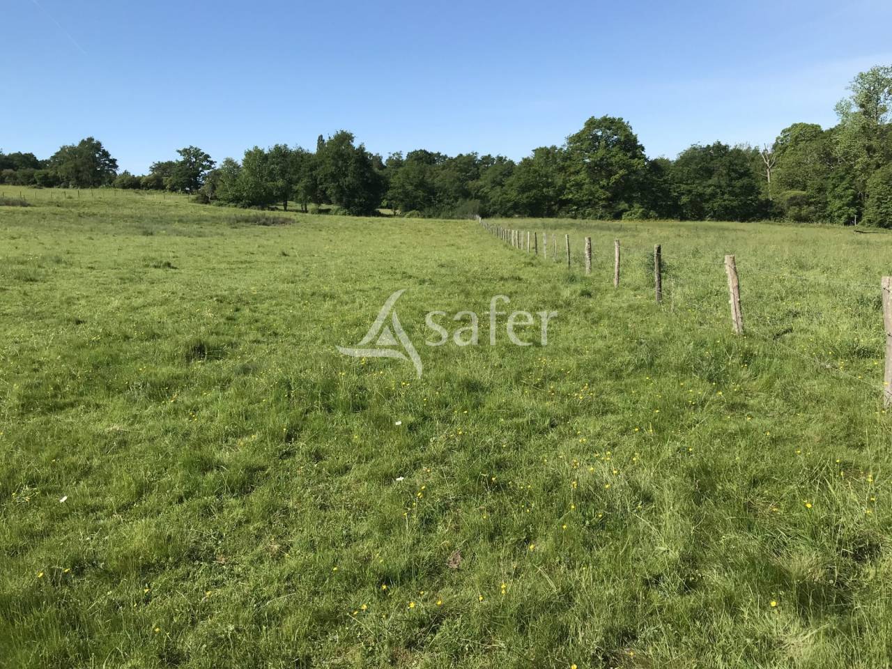 Propriété rurale sur 20 hectares