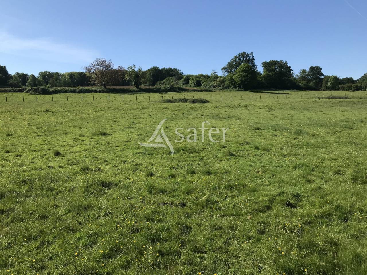 Propriété rurale sur 20 hectares