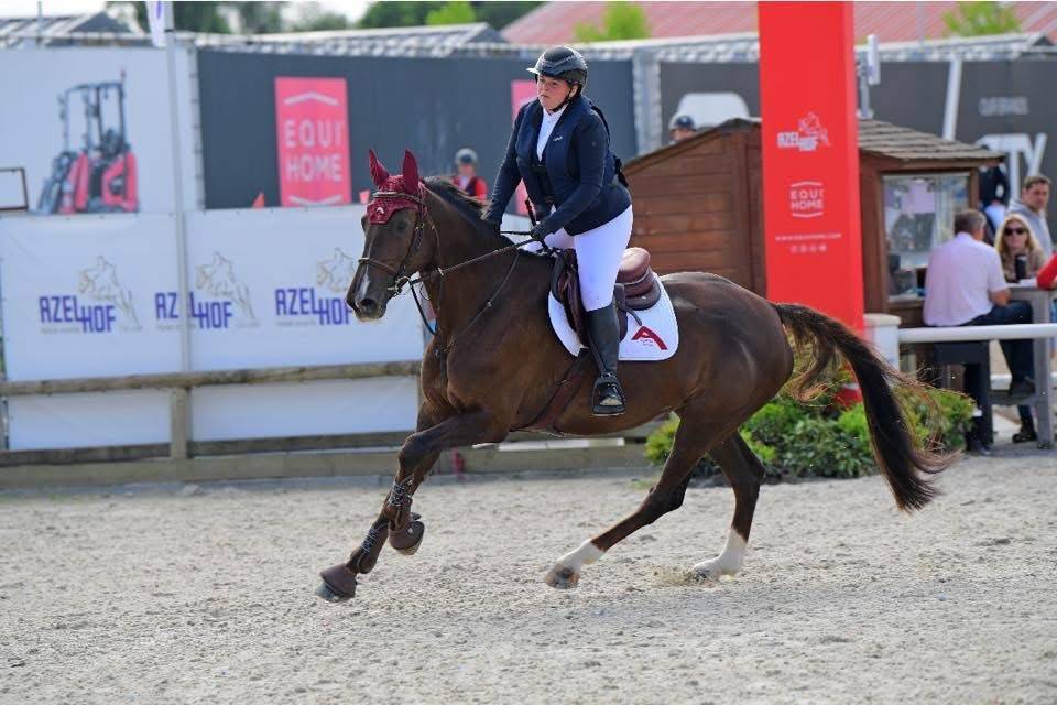 Jument de 8 ans amateur 