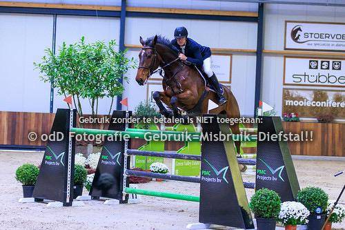Super hongre de 8 ans gros moyens pour cavalier amateur