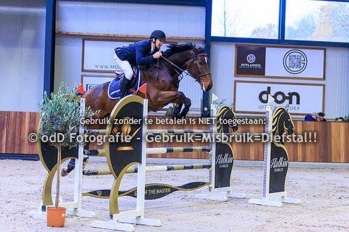 Super hongre de 8 ans gros moyens pour cavalier amateur