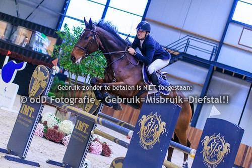Super hongre de 8 ans gros moyens pour cavalier amateur