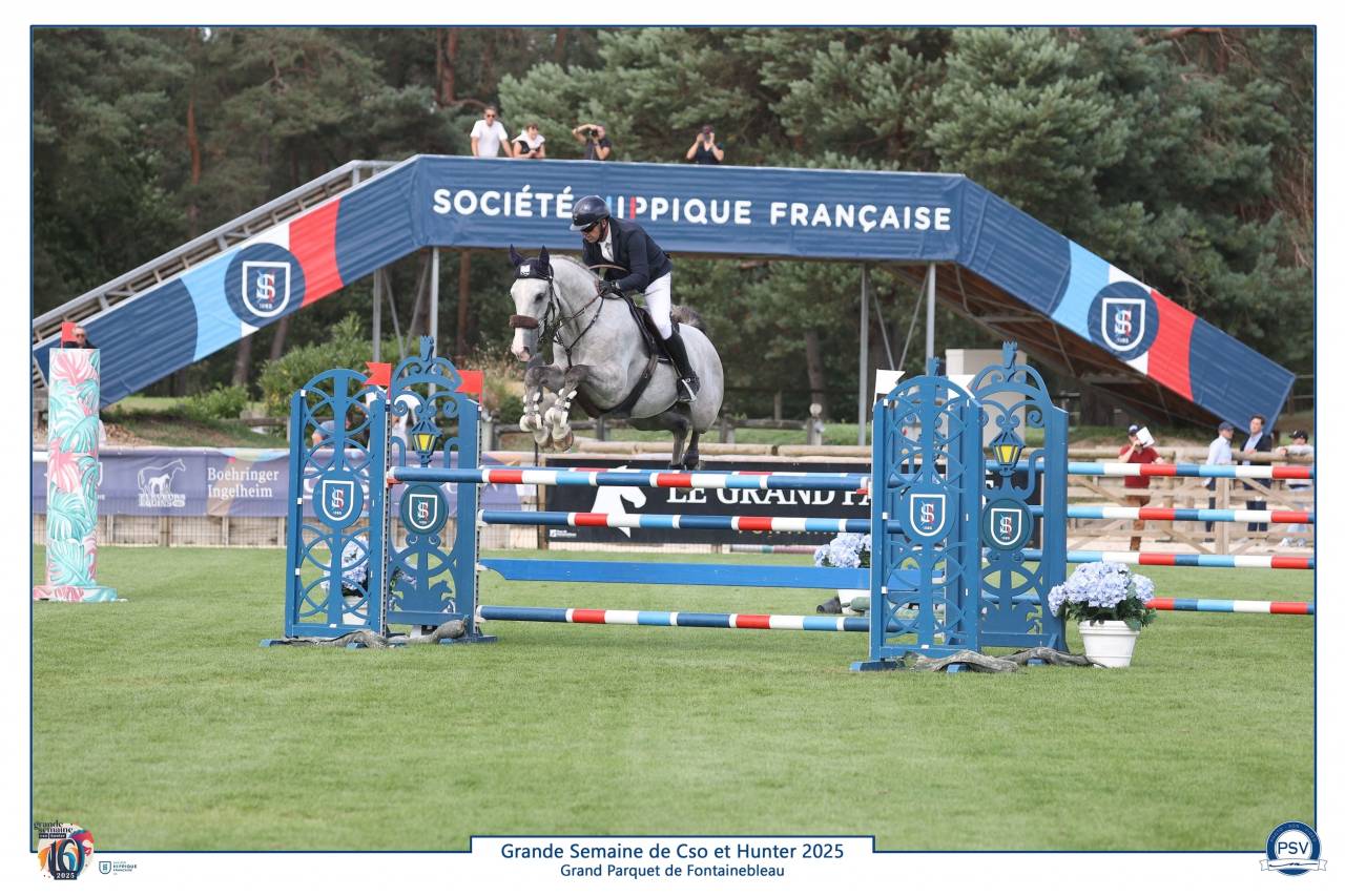 Hongre 6ans Gros Moyen