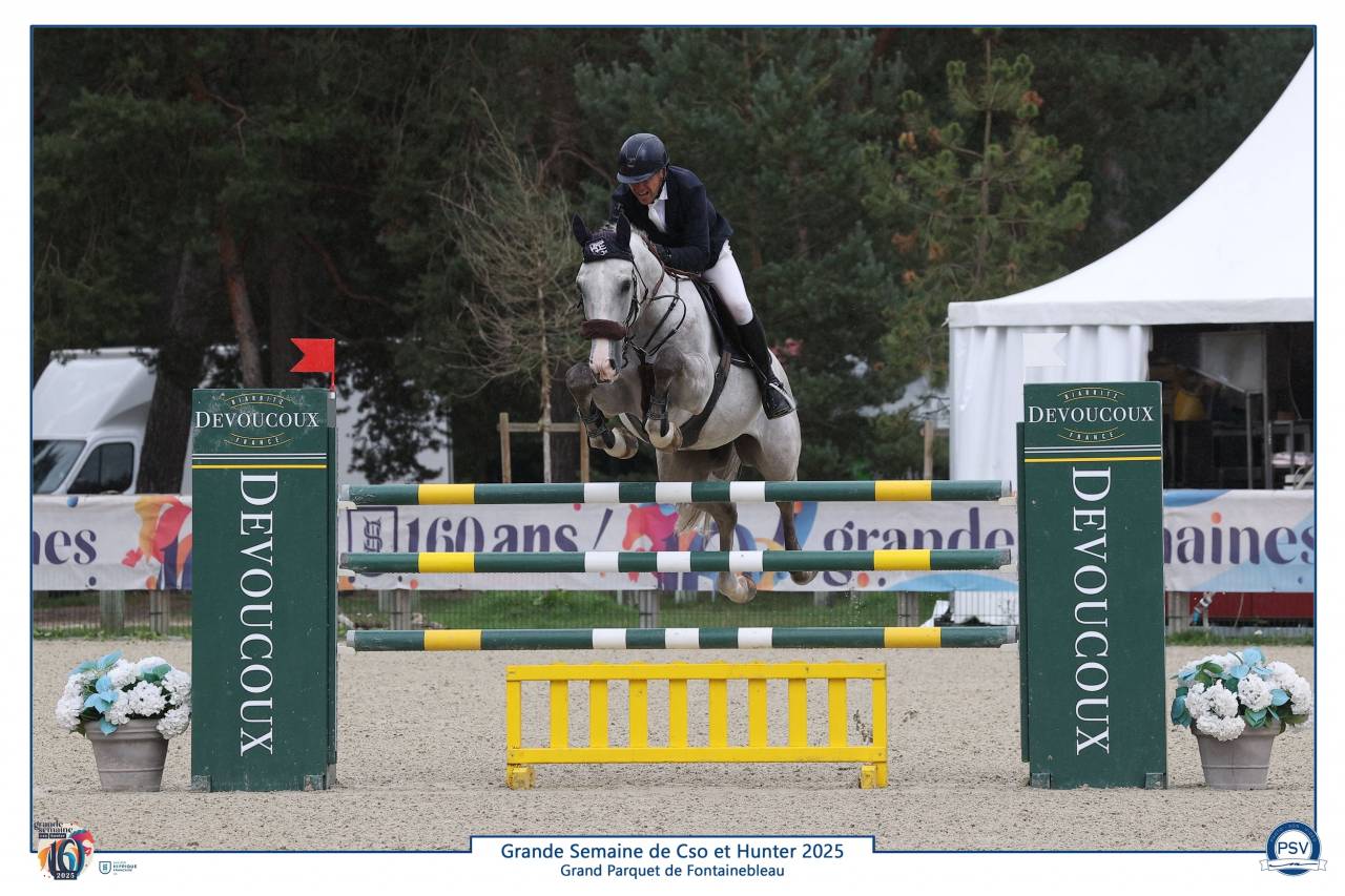 Hongre 6ans Gros Moyen