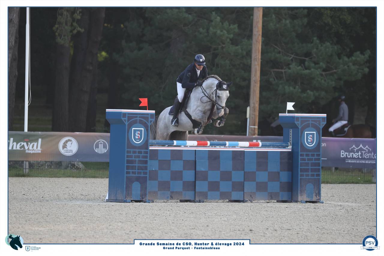 Hongre 6ans Gros Moyen