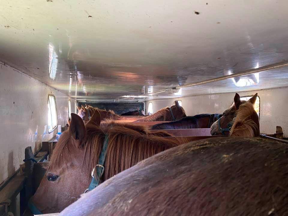 Ensemble routier IVECO + SAMRO