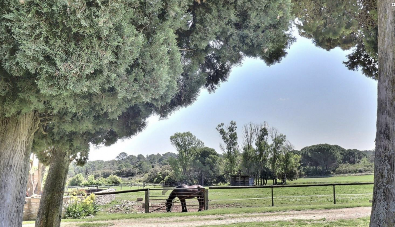 NOUVEAU - Propriété équestre de 7ha (30)