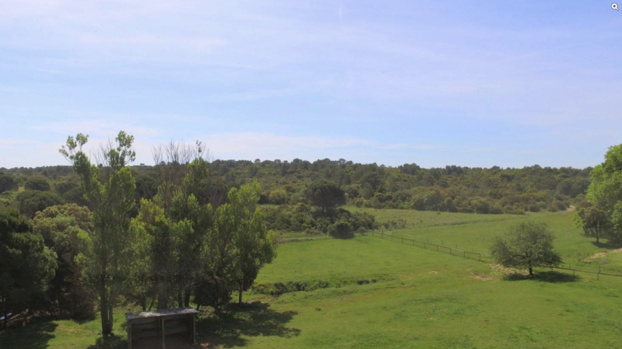 NOUVEAU - Propriété équestre de 7ha (30)