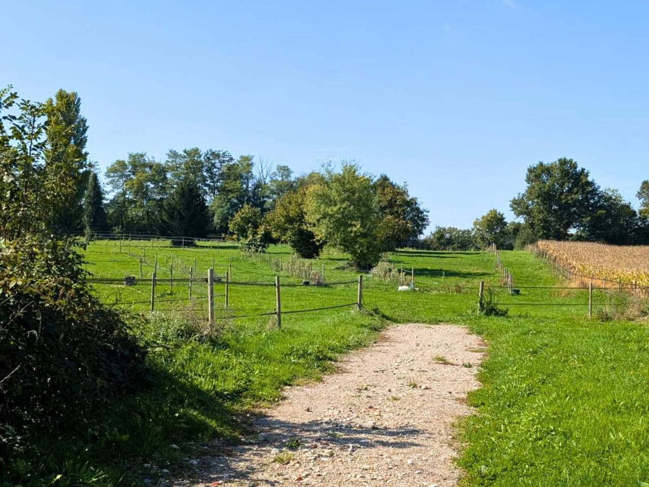 OPPORTUNITÉ Charmante propriété équestre clé en main 01