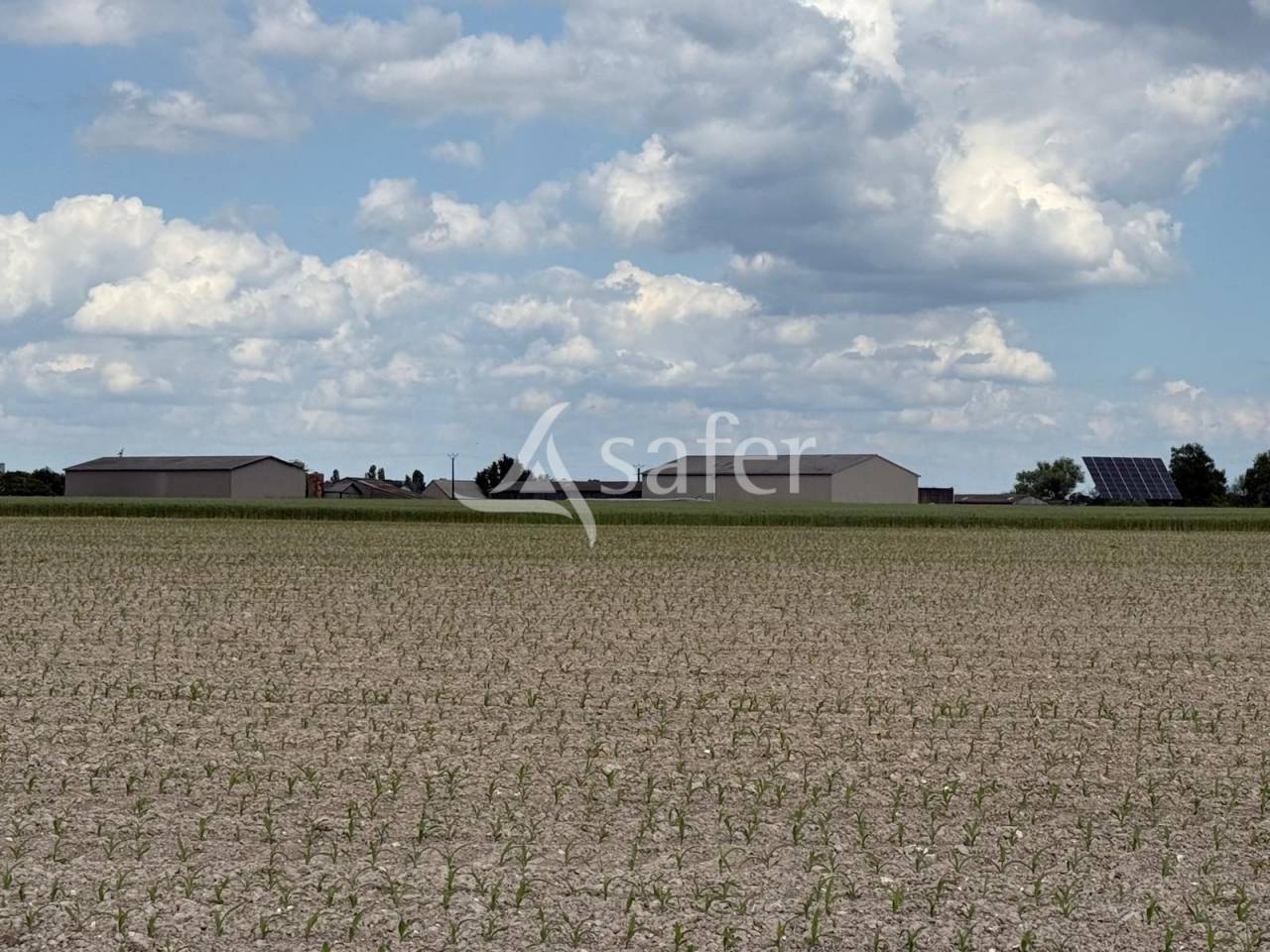 Exploitation laitière avec excellente génétique sur 142 ha de