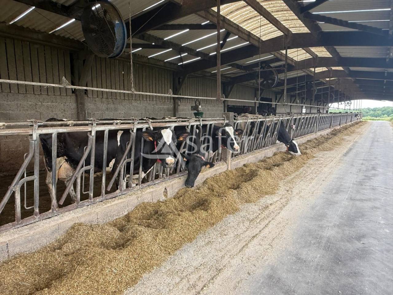 Exploitation laitière avec excellente génétique sur 142 ha de