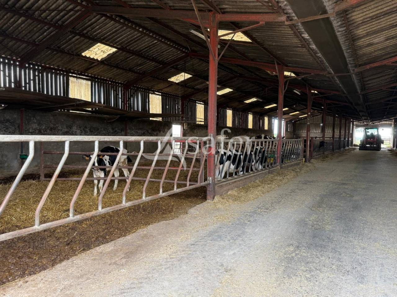 Exploitation laitière avec excellente génétique sur 142 ha de