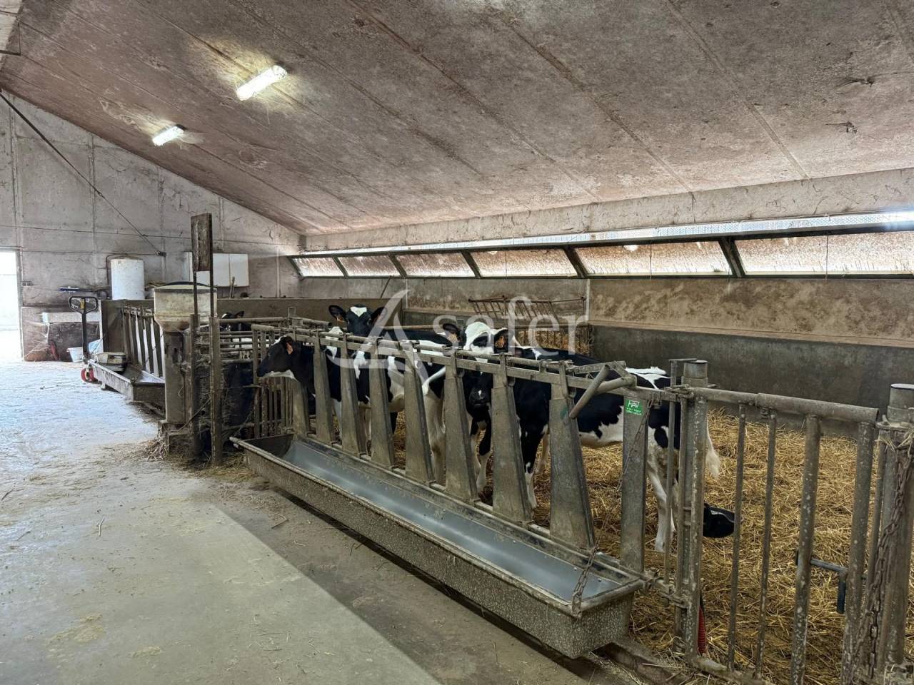 Exploitation laitière avec excellente génétique sur 142 ha de