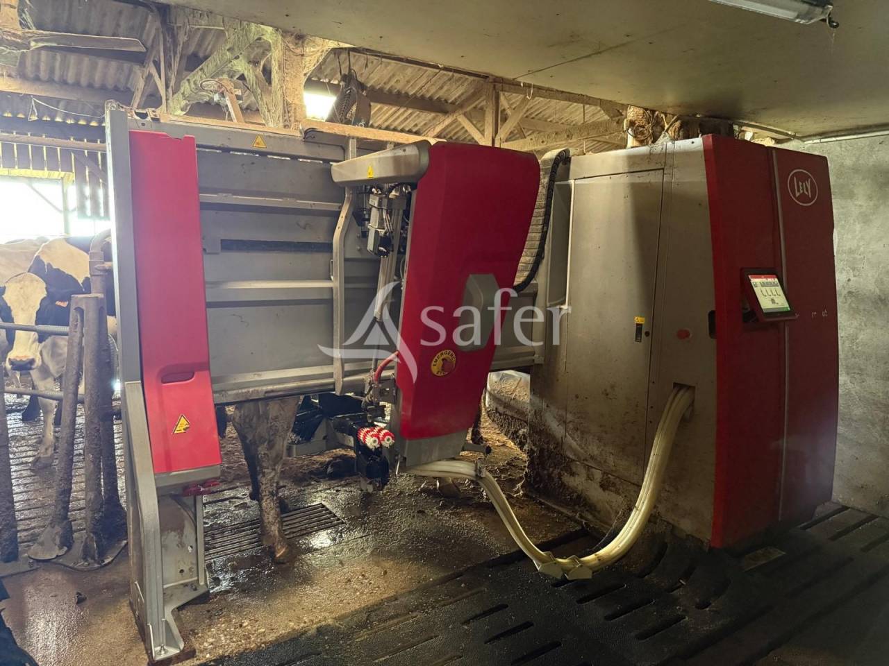 Exploitation laitière avec excellente génétique sur 142 ha de