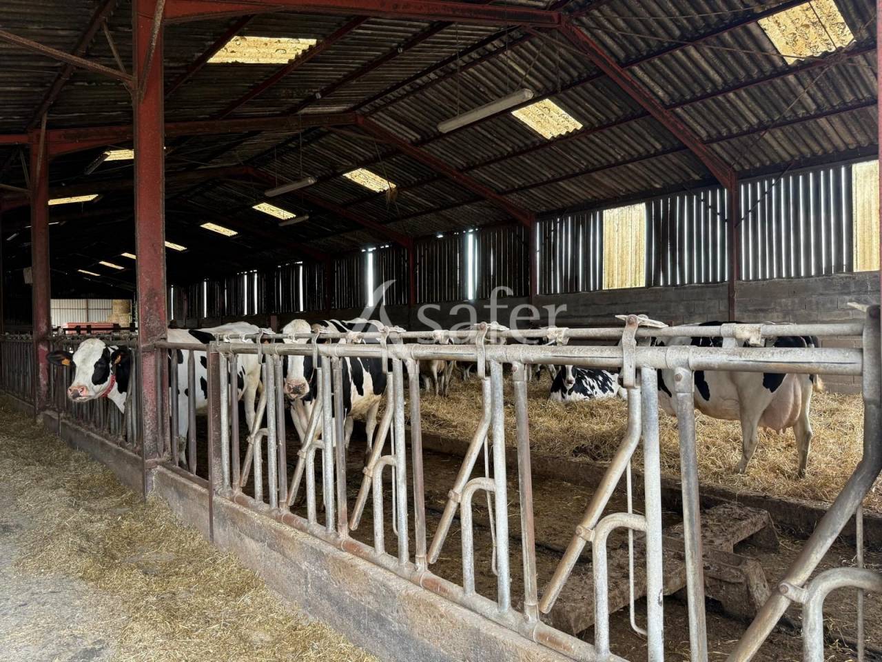 Exploitation laitière avec excellente génétique sur 142 ha de