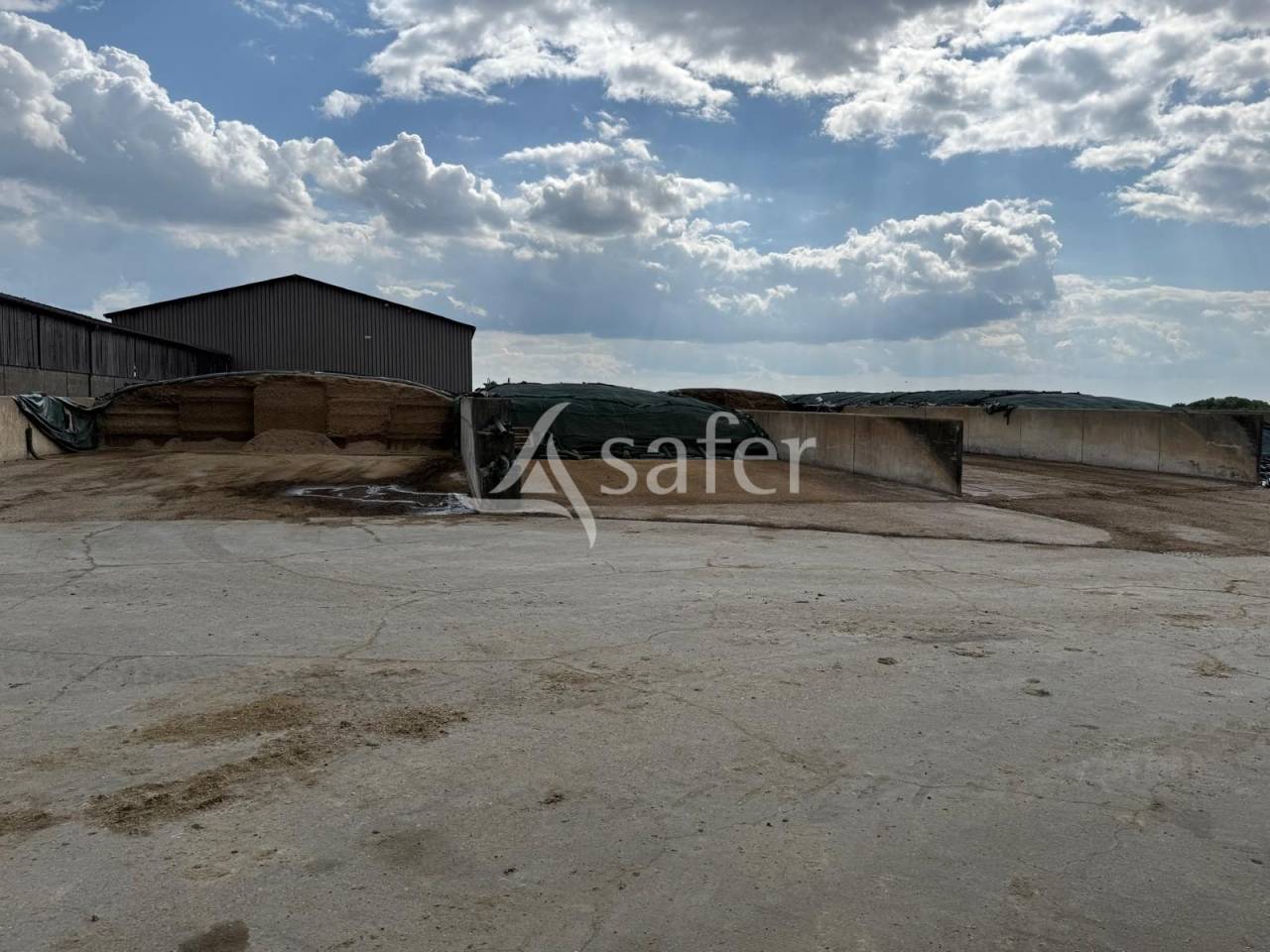 Exploitation laitière avec excellente génétique sur 142 ha de