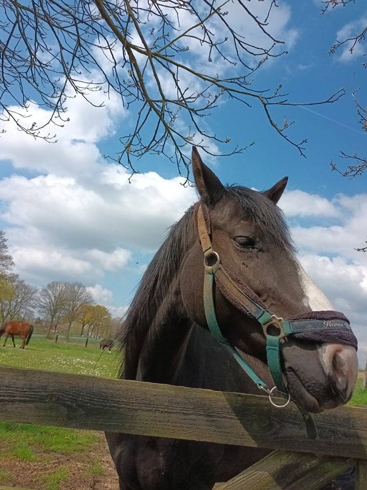 ? Black Diamond – beauté caractère complicité au rdv