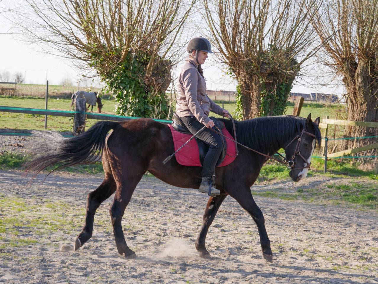 ? Black Diamond – beauté caractère complicité au rdv