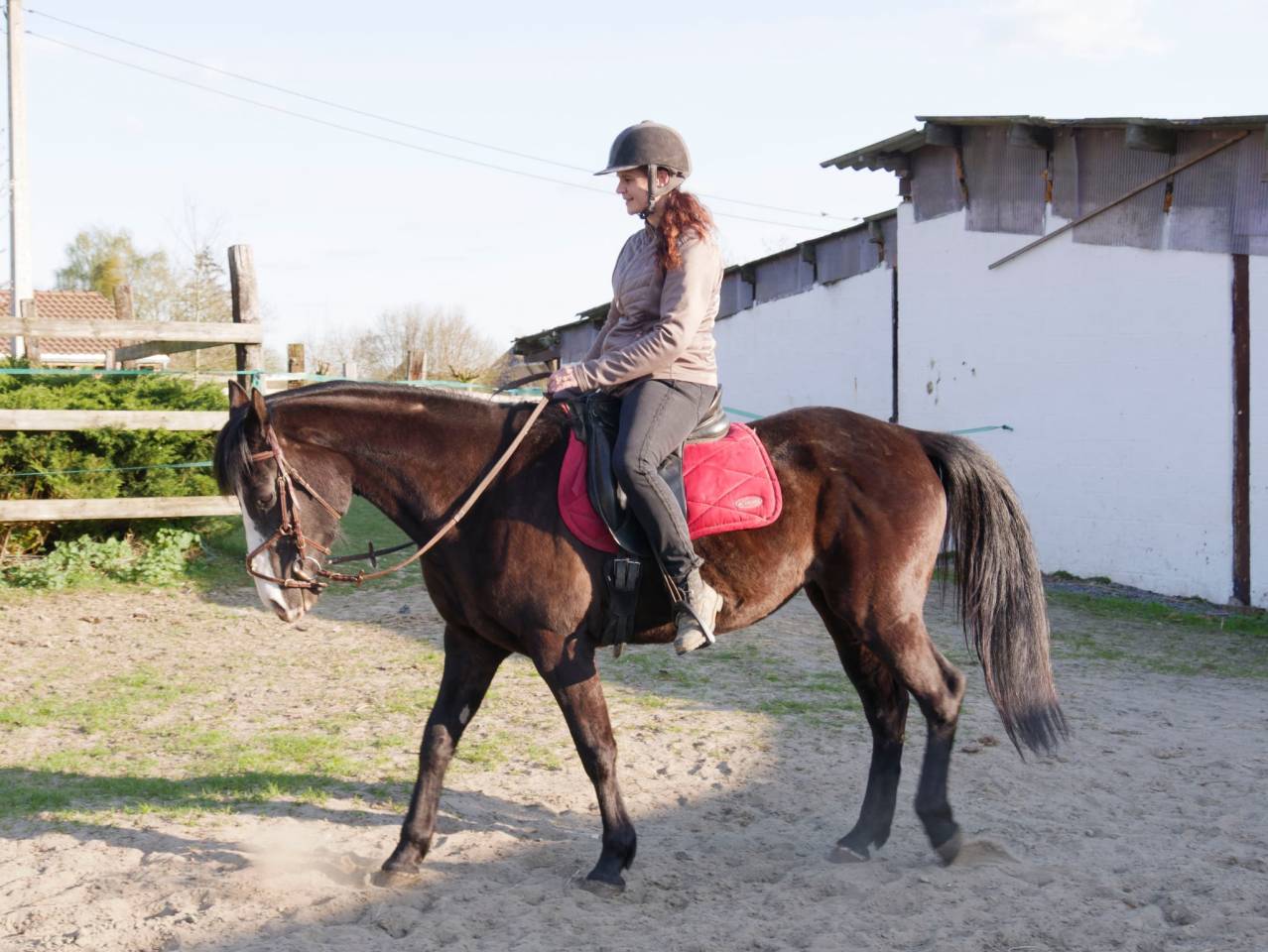 ? Black Diamond – beauté caractère complicité au rdv