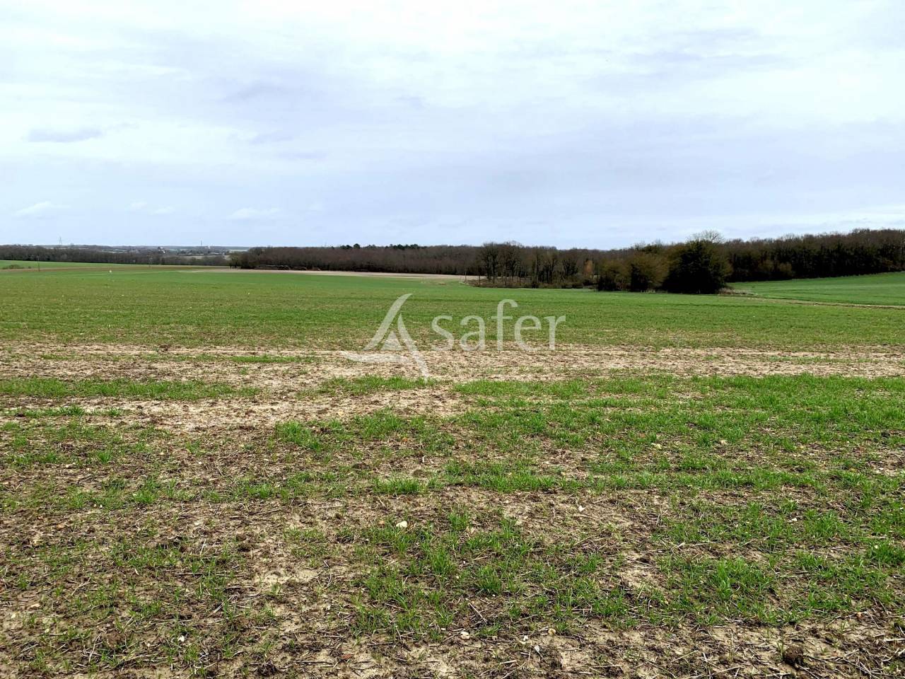 Terres agricoles libres