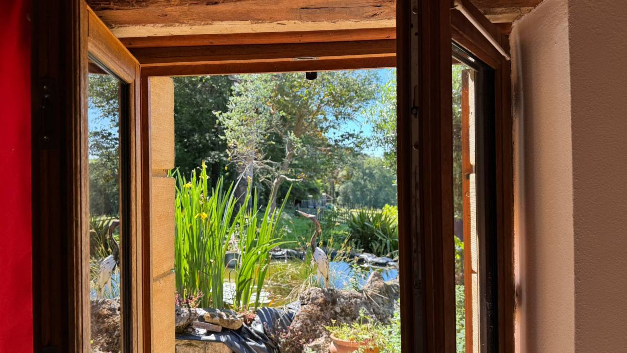 Les deux étoiles filantes