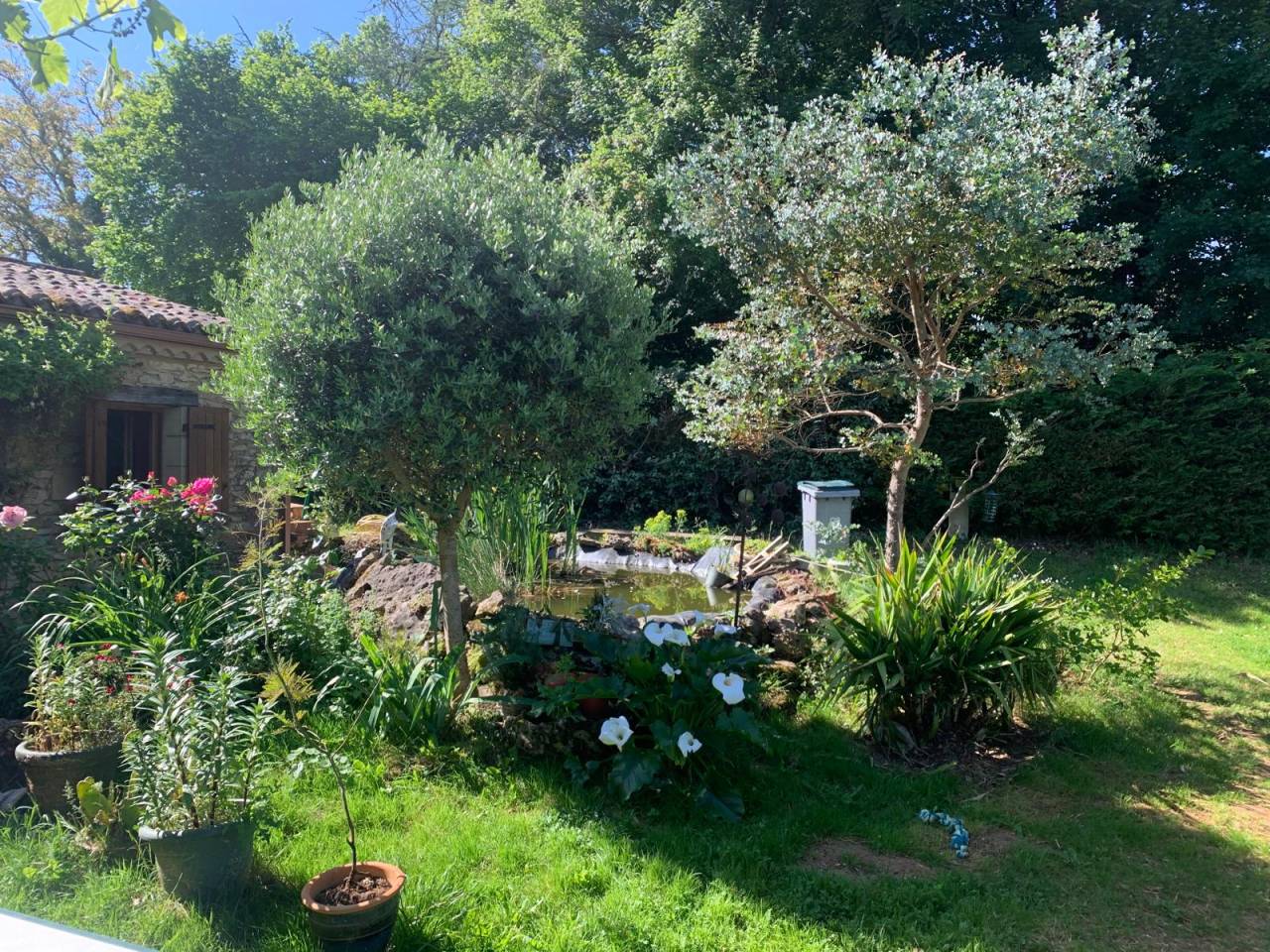 Les deux étoiles filantes