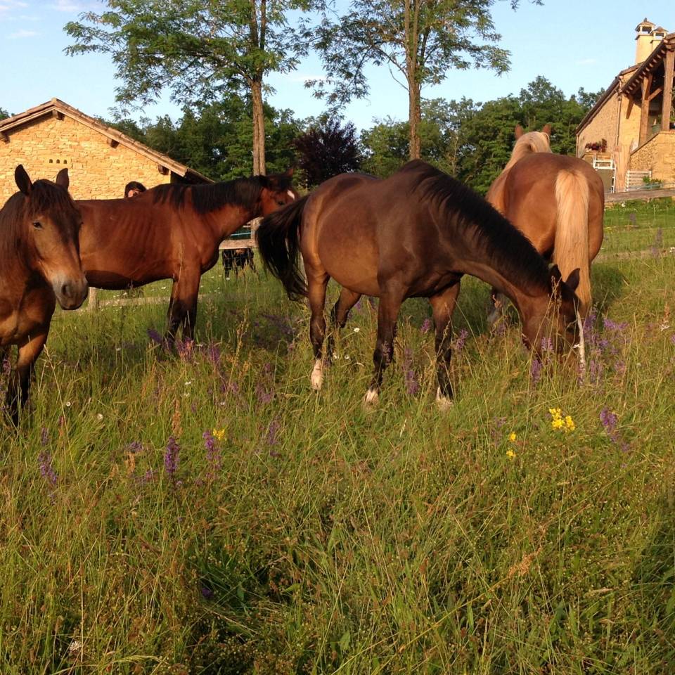 Les deux étoiles filantes