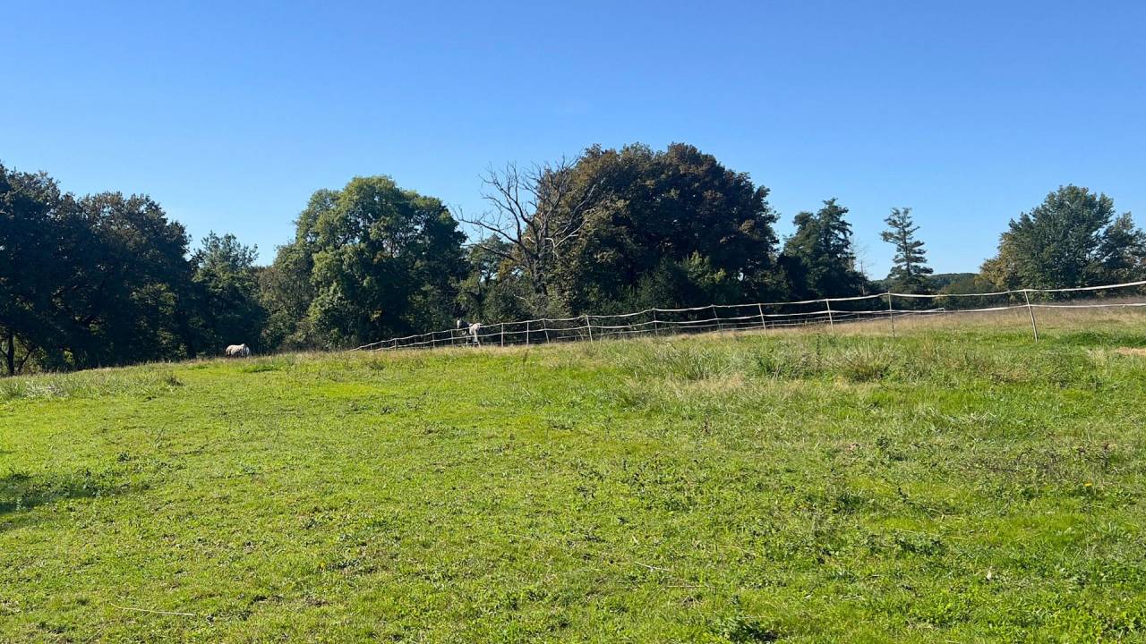 Propriété équestre de charme au cœur des Landes