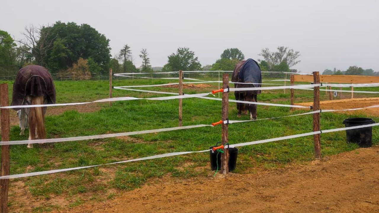 Charmante propri&eacute;t&eacute; &eacute;questre au c&oelig;ur des Landes