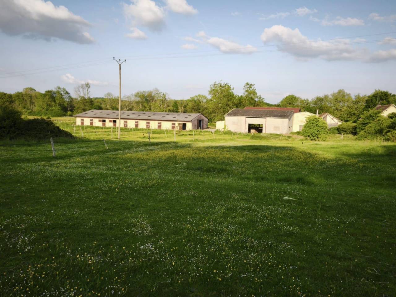 Haras d'Élevage de Chevaux, 26ha.