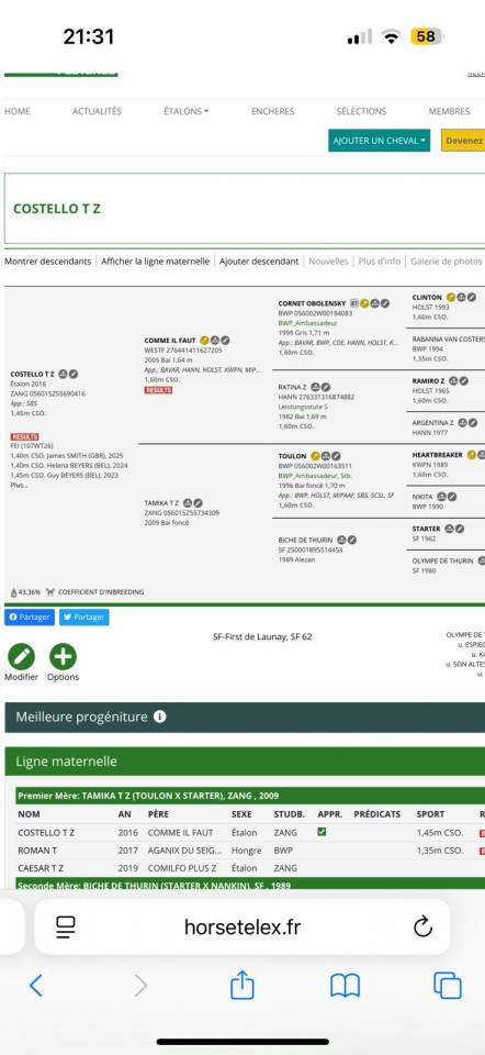 Super cheval à vendre ! 