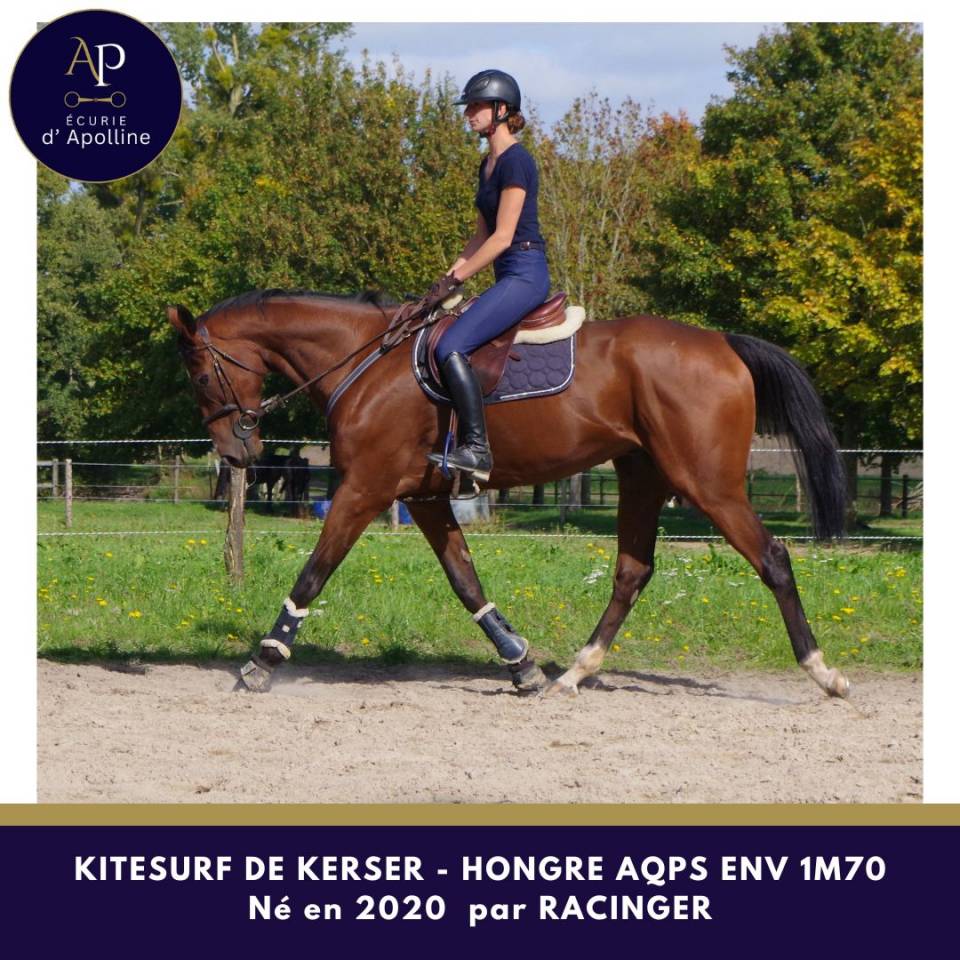 AQPS 5 ans env 1m70 bon mental