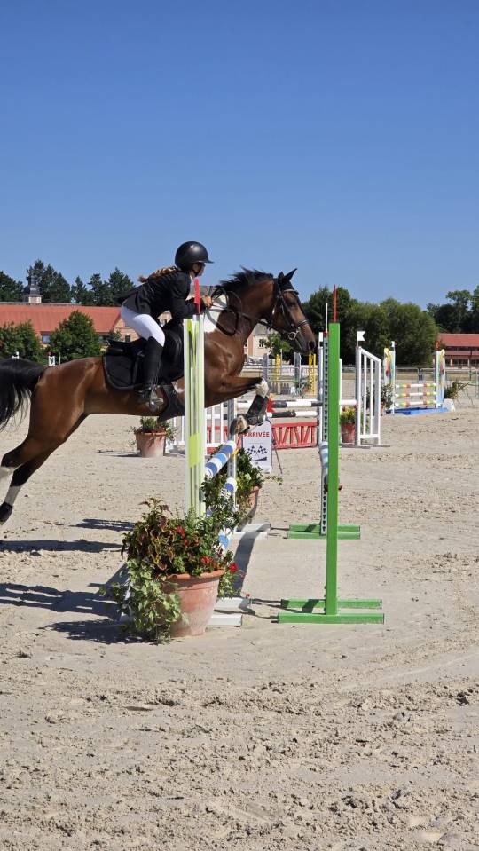 Poney de sport ou de loisirs D 11 ans